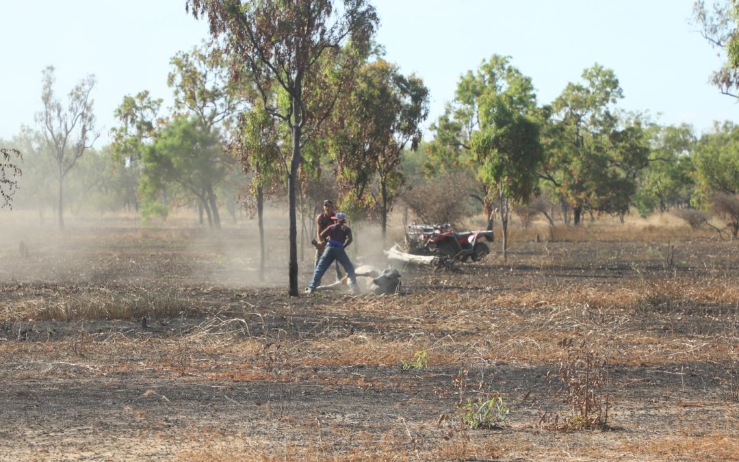 2021 Kowanyama Cattle Muster